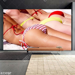 Tranh người mẫu bikini SP6230