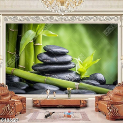 Tranh những viên đá đen