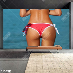 Tranh người đẹp mặc bikini SP6100