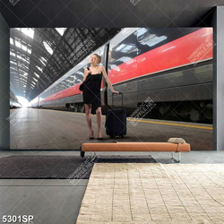 Tranh cô gái bên tàu cao tốc