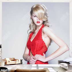 Tranh người đẹp tóc vàng SP5832