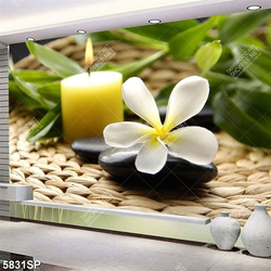 Tranh ngọn nến và hoa sứ