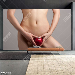 Tranh khỏa thân nghê thuật SP5753