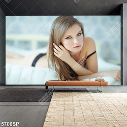 Tranh người đẹp quyến rũ SP5706