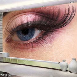 Tranh đôi mắt đẹp