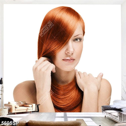 Tranh người đẹp SP5605