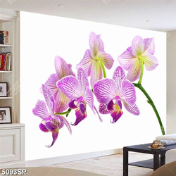 Tranh canvas trang trí spa