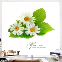 Tranh treo tường spa thư giãn