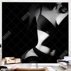 Tranh người mẫu nội y treo spa