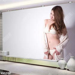 Tranh người mẫu nội y