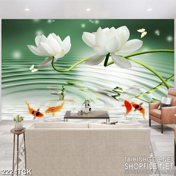 Tranh những bông hoa sen trắng bên hồ cá chép vàng