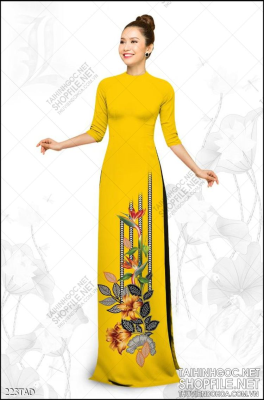 File tranh vải áo dài việt nam 223