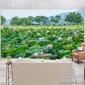 Tranh cánh rừng bạt ngàn hoa sen hồng giữa trời xanh