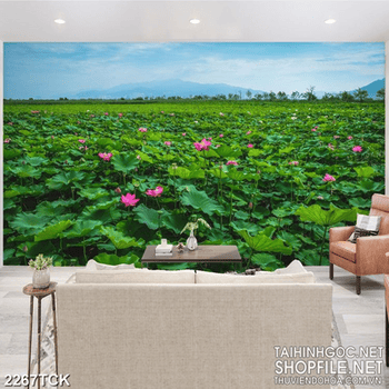 Tranh in 5d cánh rừng bạt ngàn sen hồng giữa trời xanh