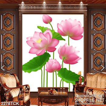Tranh in canvas những bông hoa sen hồng khoe sắc