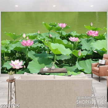 Tranh in tường đầm hoa sen khoe sắc hồng rực rỡ