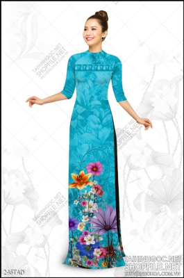 File tranh vải áo dài việt nam 246