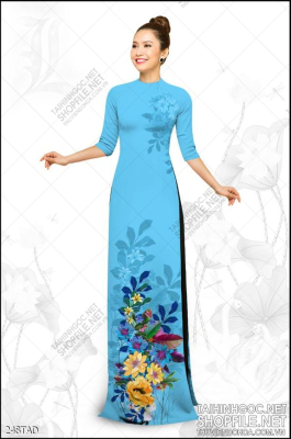 File tranh vải áo dài việt nam 248