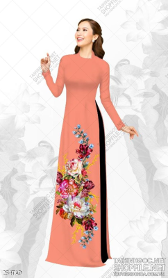 File tranh vải áo dài việt nam 254