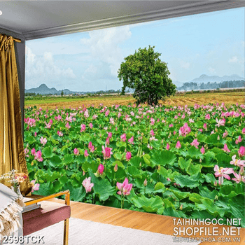 Tranh nghệ thuật bạt ngàn sen hồng khoe sắc giữa trời