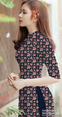 File tranh vải áo dài việt nam 273