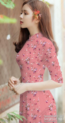 File tranh vải áo dài việt nam 275