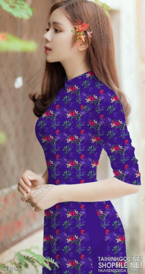 File tranh vải áo dài việt nam 287