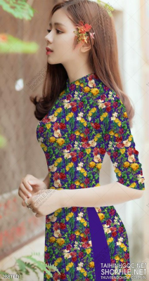 File tranh vải áo dài việt nam 288