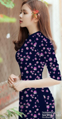 File tranh vải áo dài việt nam 289