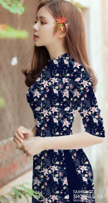 File tranh vải áo dài việt nam 295