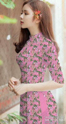 File tranh vải áo dài việt nam 298