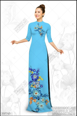 File tranh vải áo dài việt nam 300