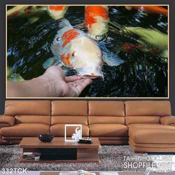 Tranh hoa sen, cá chép treo tường trang trí