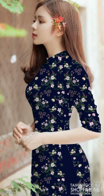 File tranh vải áo dài việt nam 352