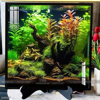 Tranh treo tường những chú cá heo đáng yêu