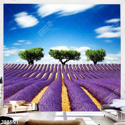 Tranh phong cảnh đẹp