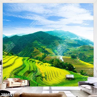 Tranh ruộng bậc thang tây bắc