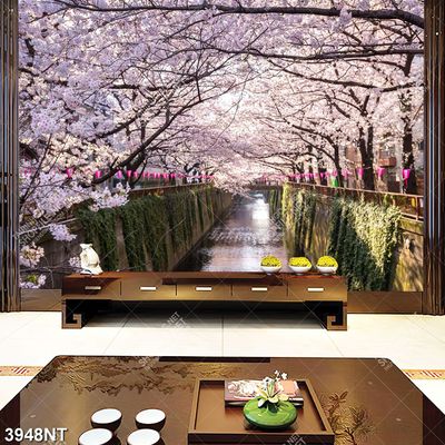 Tranh con đường hoa anh đào đẹp