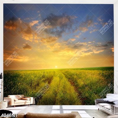 Tranh cánh đồng chiều hoàng hôn