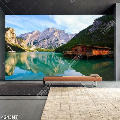 Tranh sơn thủy hữu tình