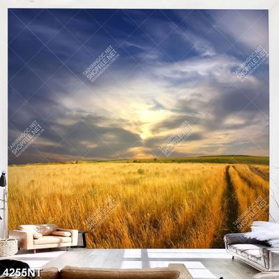 Tranh phong cảnh cánh đồng