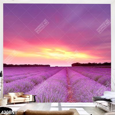 Tranh phong cảnh hoa lavender