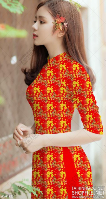 File tranh vải áo dài việt nam 454