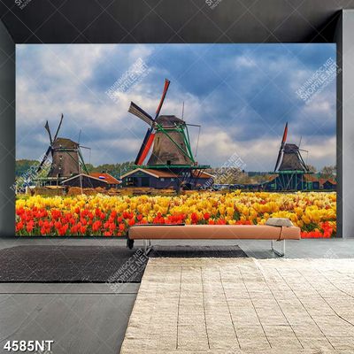 Tranh nghệ thuật đẹp nhất