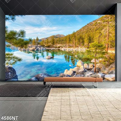 Tranh treo tường trang trí nghệ thuật