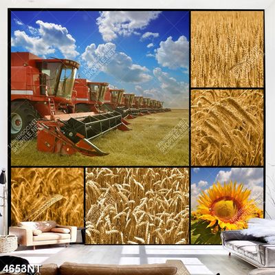 Tranh nghệ thuật đẹp nhất