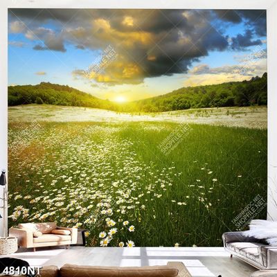 Tranh đẹp treo tường