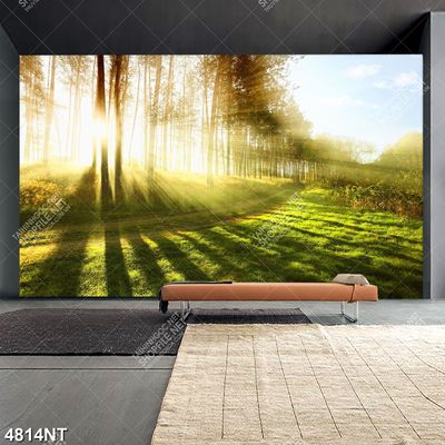 Tranh nghệ thuật in canvas chất lượng cao