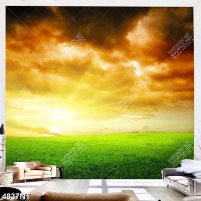 Tranh nghệ thuật đẹp nhất