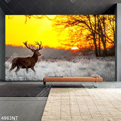 Tranh nghệ thuật đẹp nhất